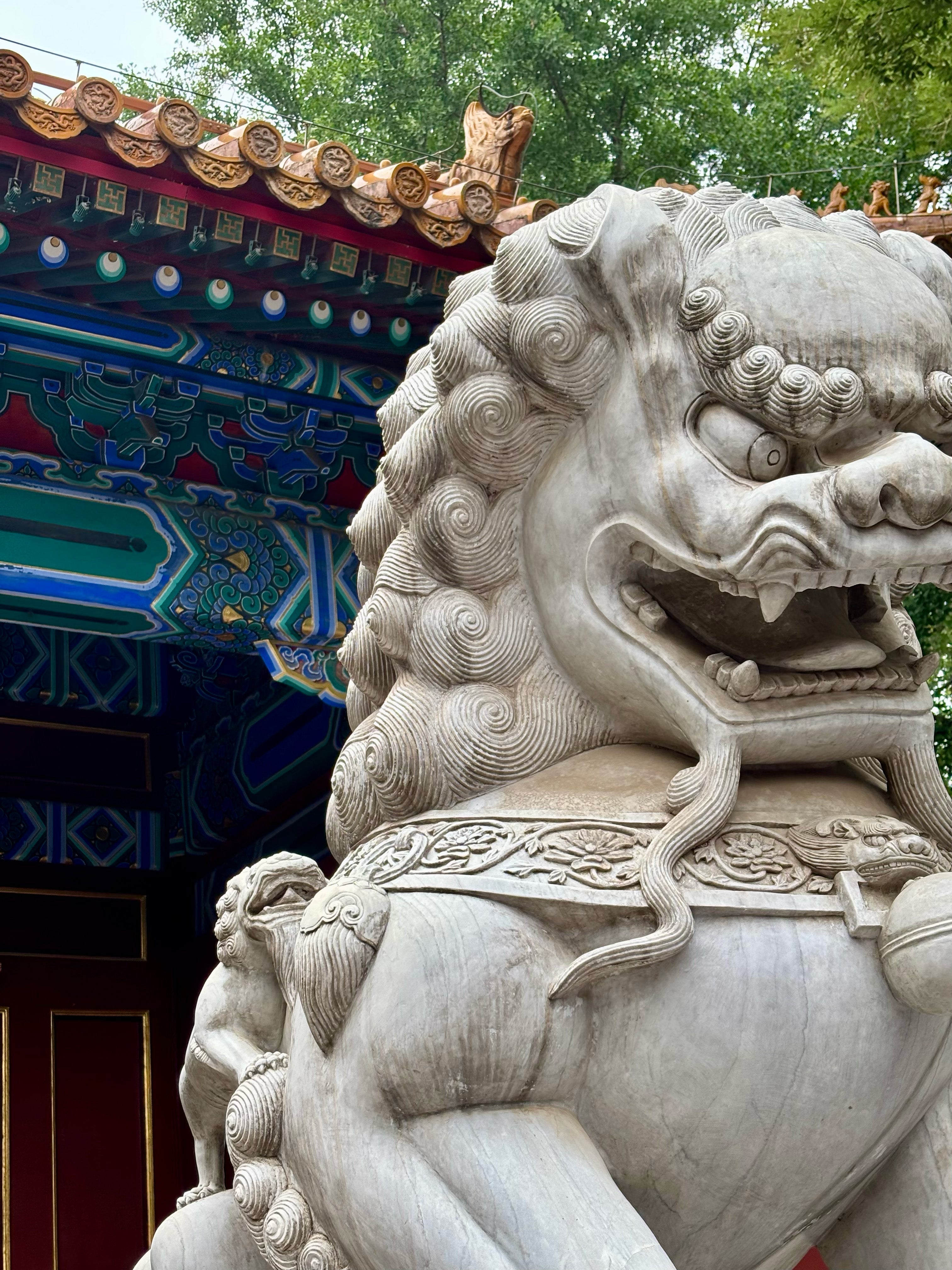 Beijing & Shanghai, China