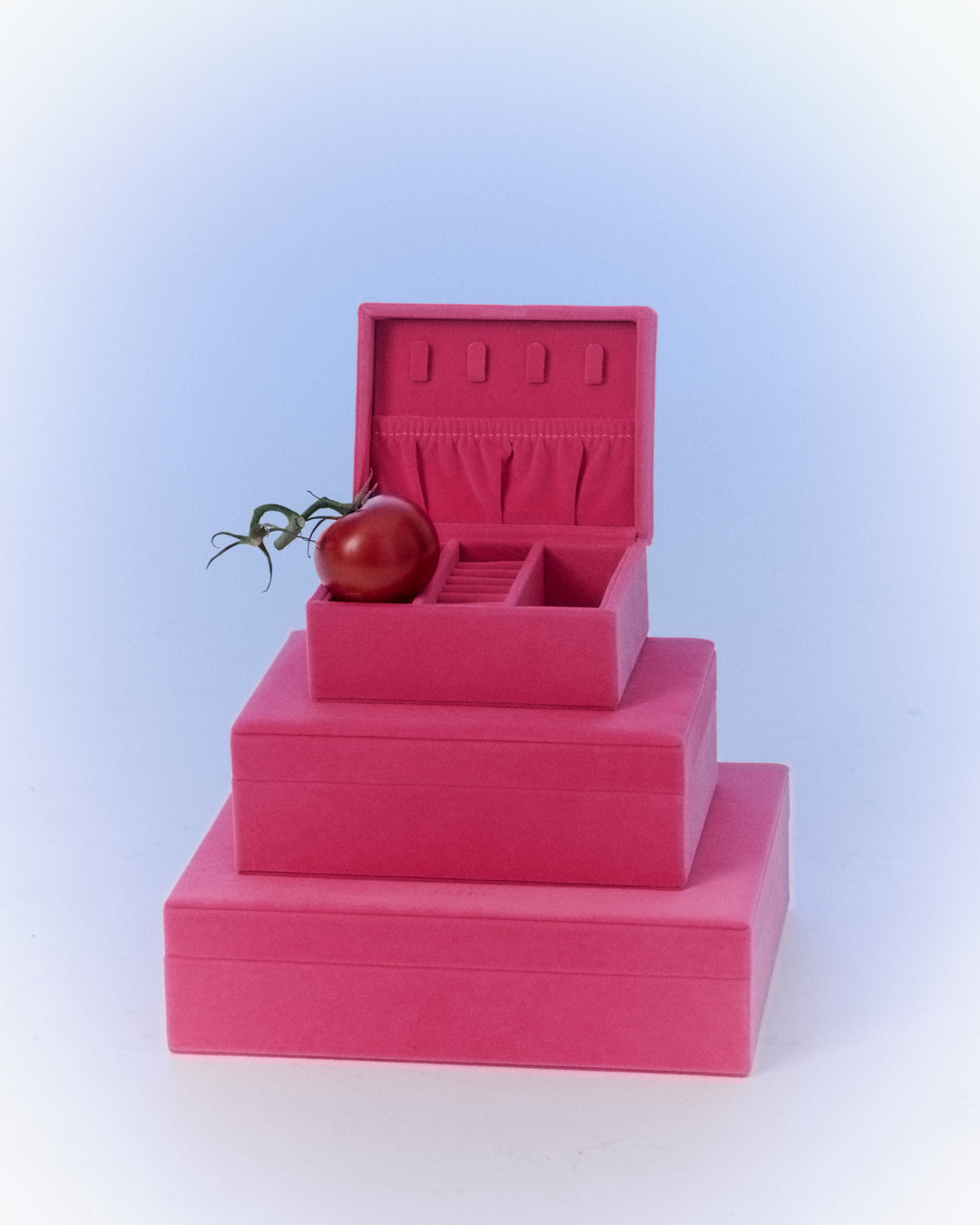 Day Velvet Jewelry Case Medium